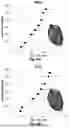 Fig. 08 - Multi-Layered Graft for Tissue Engineering Applications