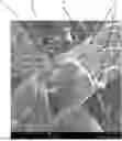 Fig. 01 - Composite filtering medium and method for production thereof