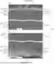Fig. 01 - HOLLOW FIBER MEMBRANE AND MANUFACTURING METHOD THEREFOR