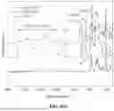 Fig. 08 - POLYMER FOR HOLLOW FIBER MEMBRANE FOR ORGANIC SOLVENT NANOFILTRATION AND METHOD FOR MANUFACTURING THE SAME