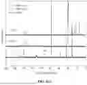 Fig. 09 - POLYMER FOR HOLLOW FIBER MEMBRANE FOR ORGANIC SOLVENT NANOFILTRATION AND METHOD FOR MANUFACTURING THE SAME