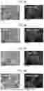 Fig. 04 - METHOD OF MANUFACTURING POSITIVE ELECTRODE ACTIVE MATERIAL, AND POSITIVE ELECTRODE ACTIVE MATERIAL