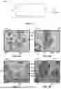 Fig. 02 - POROUS REFRACTORY OBJECTS AND METHODS OF FORMING