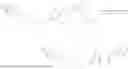 Fig. 320 - GPR119 AGONISTS