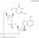 Fig. 02 - NOVEL FORMS OF CYCLIC DINUCLEOTIDE COMPOUNDS