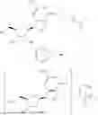 Fig. 09 - NOVEL FORMS OF CYCLIC DINUCLEOTIDE COMPOUNDS