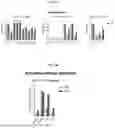 Fig. 43 - DLL3 TARGETING TRISPECIFIC PROTEINS AND METHODS OF USE