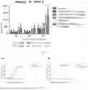 Fig. 04 - ANTI-CD73 ANTIBODY AND USE THEREOF