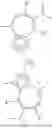 Fig. 05 - Guaiazulene-Based Metallocene Catalysts for Olefin Polymerization