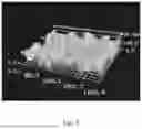 Fig. 07 - STRUCTURED DENSE FLUOROPOLYMER FILMS AND METHODS OF MAKING SAME