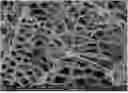 Fig. 01 - Three-dimensional carbon-based copolymerization composite, and preparation method and use thereof