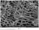 Fig. 02 - Three-dimensional carbon-based copolymerization composite, and preparation method and use thereof