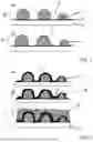 Fig. 02 - METHOD FOR PRODUCING VASCULARIZED BIOLOGICAL TISSUE