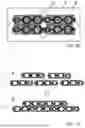 Fig. 06 - METHOD FOR PRODUCING VASCULARIZED BIOLOGICAL TISSUE