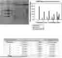 Fig. 01 - METHODS FOR RAPID SEPARATION AND PURIFICATION OF DNA TOPOLOGICAL FORMS