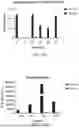Fig. 15 - ENGINEERED ONCOSELECTIVE PROTEIN EXPRESSION