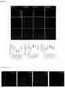 Fig. 09 - COMPOSITION FOR TREATING DIABETIC RETINOPATHY CONTAINING scAAV2-shmTOR-SD (CRG-01)