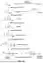 Fig. 02 - BIOSYNTHESIS OF ISOPRENOIDS AND PRECURSORS THEREOF
