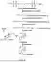 Fig. 06 - BIOSYNTHESIS OF ISOPRENOIDS AND PRECURSORS THEREOF