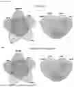 Fig. 02 - METHODS AND COMPOSITIONS RELATED TO FULL-LENGTH EXCISED INTRON RNAS (FLEXI RNAS)