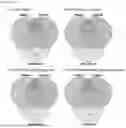 Fig. 10 - METHODS AND COMPOSITIONS RELATED TO FULL-LENGTH EXCISED INTRON RNAS (FLEXI RNAS)