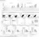 Fig. 13 - METHODS AND COMPOSITIONS RELATED TO FULL-LENGTH EXCISED INTRON RNAS (FLEXI RNAS)