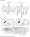 Fig. 19 - METHODS AND COMPOSITIONS RELATED TO FULL-LENGTH EXCISED INTRON RNAS (FLEXI RNAS)