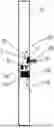 Fig. 01 - DOOR LOCKING DEVICE