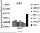 Fig. 40 - DOPAMINERGIC PRECURSOR CELLS AND METHODS OF USE