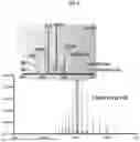 Fig. 09 - System and method of analysis of a protein using liquid chromatography-mass spectrometry
