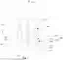 Fig. 03 - Testing apparatus