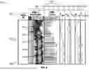Fig. 09 - Parameterization of nuclear magnetic resonance transverse relaxation time distribution