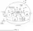 Fig. 02 - Accommodating soft contact lens