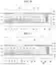 Fig. 07 - Display Device