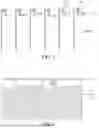 Fig. 03 - Array substrate and liquid crystal display panel