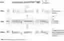 Fig. 06 - DISPLAY OF TEXTS