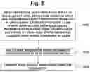 Fig. 11 - SRAM READ YIELD TRAINING METHOD, SRAM READ YIELD PREDICTION METHOD AND COMPUTING APPARATUS