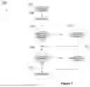 Fig. 09 - COMPUTERIZED-METHOD AND REAL-TIME INFORMATION SHARING (RTIS) PLATFORM FOR MAINTAINING A DYNAMIC KNOWLEDGE BASE