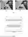 Fig. 02 - METHOD AND APPARATUS FOR OBJECT LOCALIZATION IN DISCONTINUOUS OBSERVATION SCENE, AND STORAGE MEDIUM