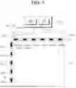 Fig. 10 - Display device and driving method thereof