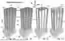 Fig. 02 - 3D memory semiconductor devices and structures with memory cells preliminary class