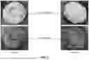 Fig. 04 - Confectionary with Improved Opacity