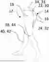 Fig. 01 - COMPRESSION GARMENT