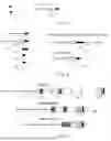 Fig. 03 - Compositions for ophthalmic care