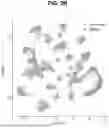 Fig. 09 - METHODS AND COMPOSITIONS FOR REDUCING NUCLEIC ACID VECTOR-INDUCED TOXICITY IN THE INNER EAR