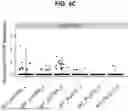 Fig. 22 - METHODS AND COMPOSITIONS FOR REDUCING NUCLEIC ACID VECTOR-INDUCED TOXICITY IN THE INNER EAR