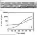 Fig. 04 - Dispersion Solution for X-Ray Target, Prefilled Syringe Filled with Same, and Powder for X-Ray Target