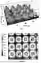 Fig. 02 - OPTICAL INTERLAYERS AND METHODS OF MAKING THE SAME