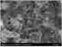 Fig. 01 - Fabrication method and application of cobalt and nitrogen co-doped three-dimensional structured carbon matrix