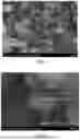 Fig. 02 - Fabrication method and application of cobalt and nitrogen co-doped three-dimensional structured carbon matrix